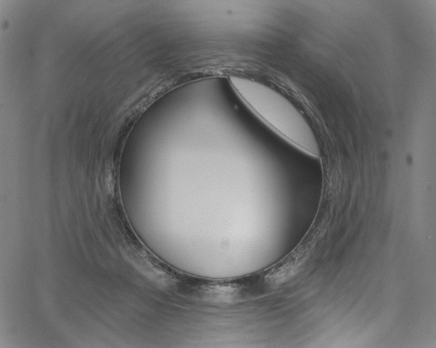 X0000067530313200604071056