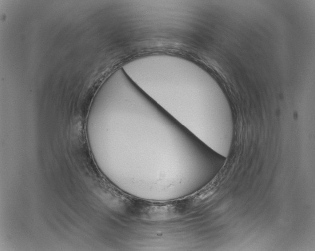 X0000067530314200604071056