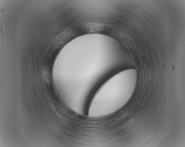X0000067530316200604071056