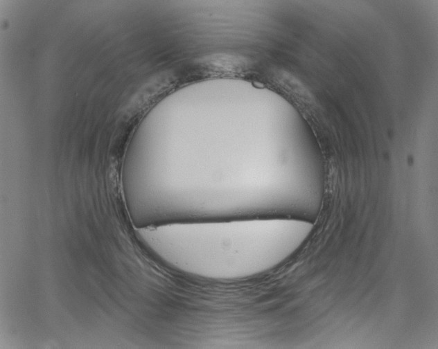 X0000067530318200604071056