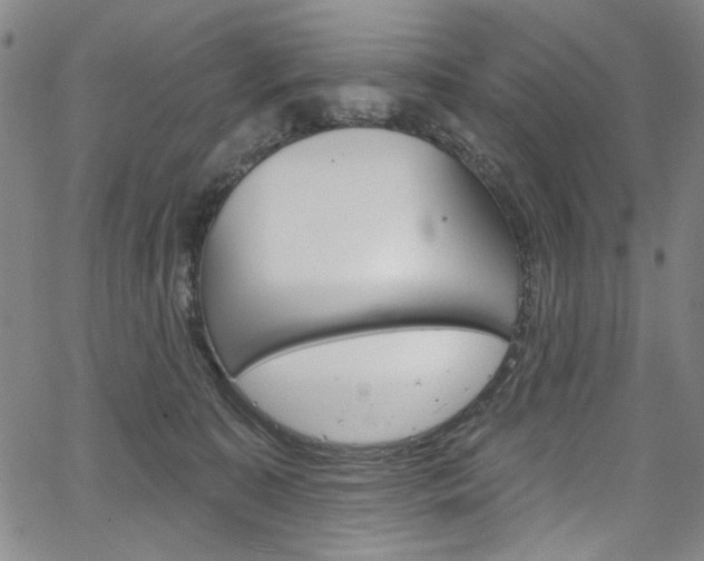 X0000067530323200604071055
