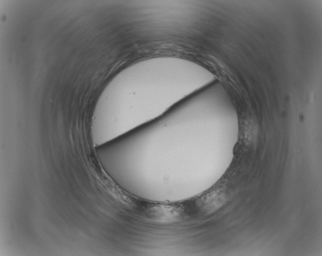 X0000067530326200604071055