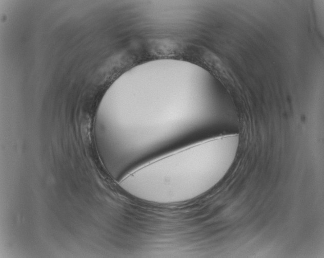 X0000067530332200604071055