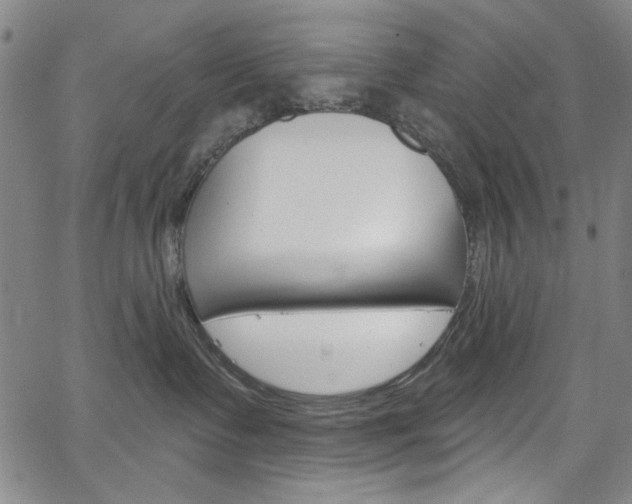 X0000067530335200604071055