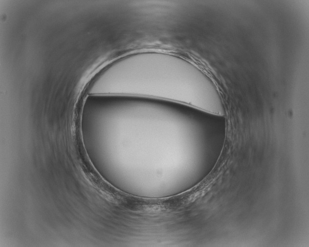 X0000067530344200604071055