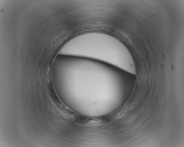 X0000067530364200604071055