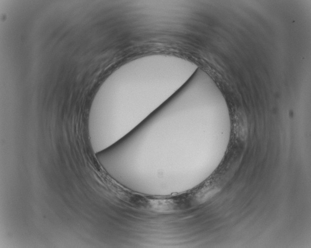 X0000067530371200604071055