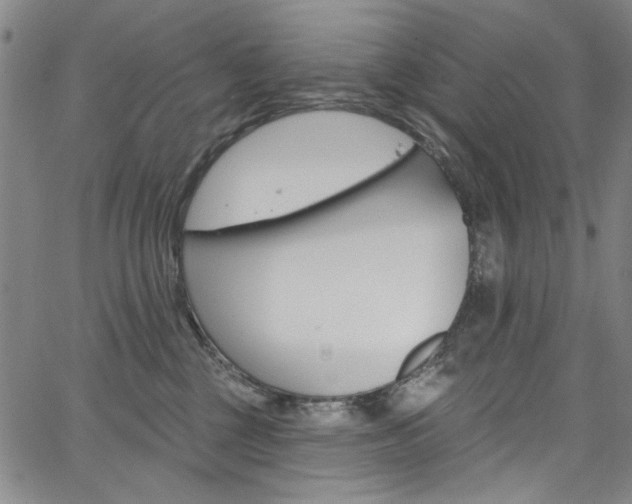 X0000067530377200604071055