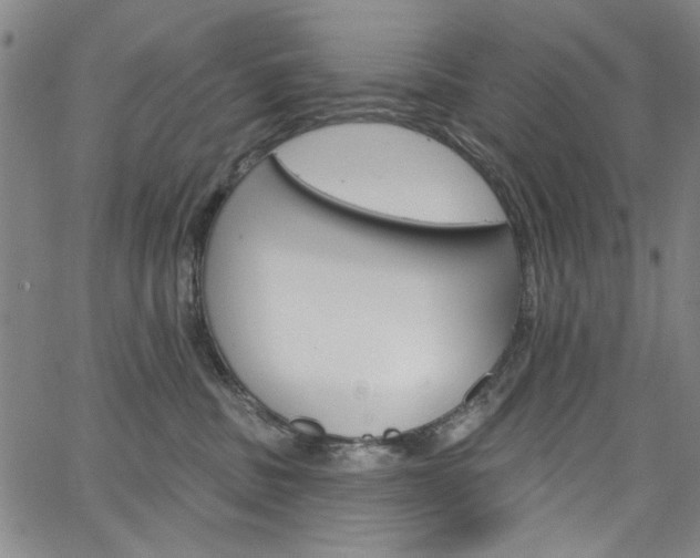 X0000067530379200604071055