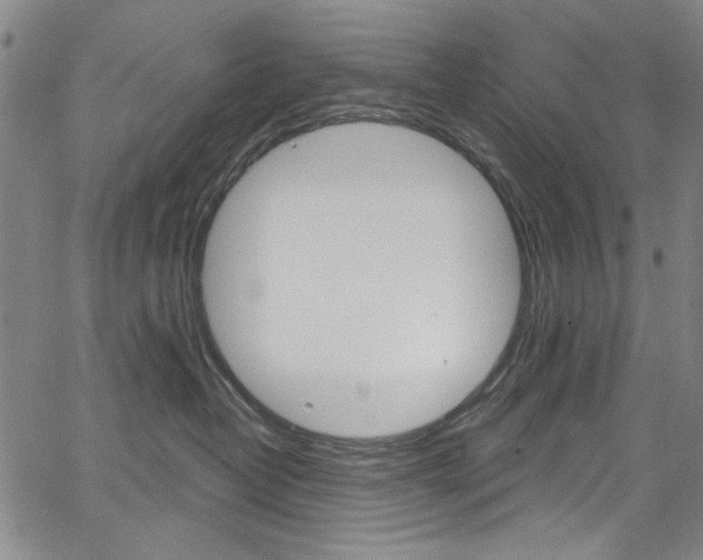 X0000067530382200604071055