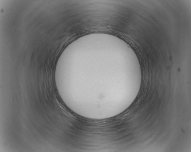 X0000067530383200604071055