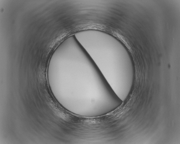 X0000067530394200604071054