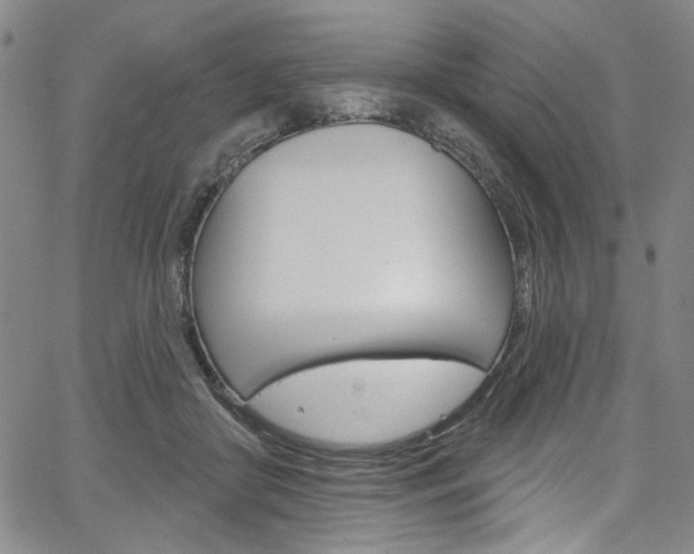 X0000067530410200604071054