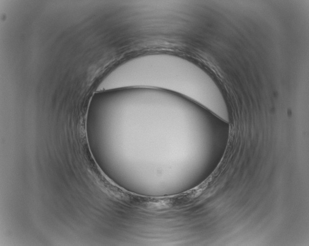 X0000067530411200604071054