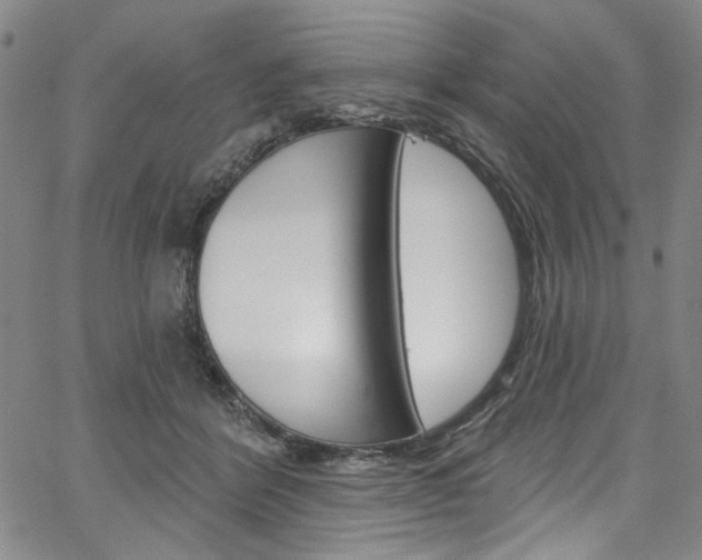 X0000067530412200604071054