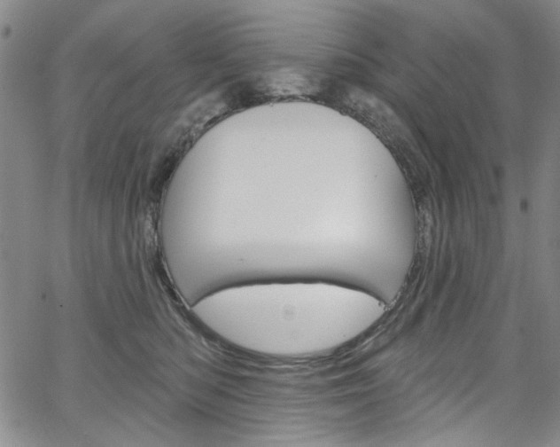 X0000067530422200604071054