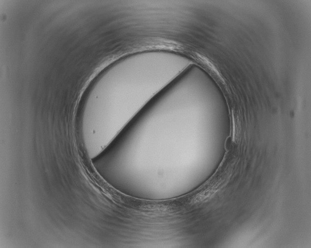 X0000067530435200604071053