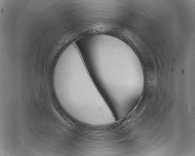 X0000067530451200604071053
