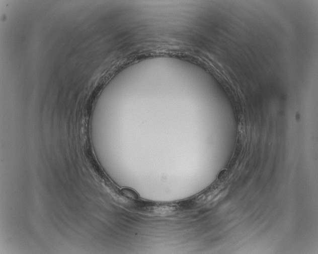 X0000067530462200604071053