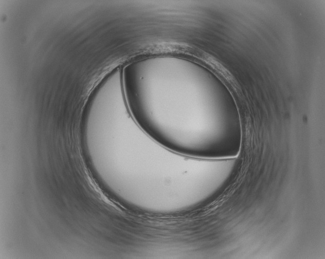 X0000067530485200604071053