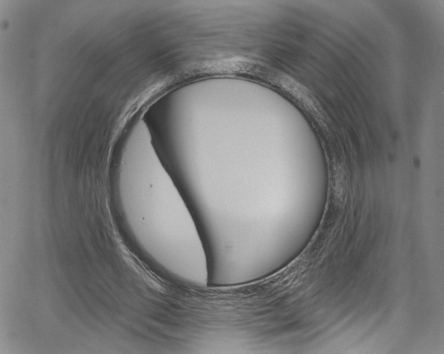 X0000067530486200604071053