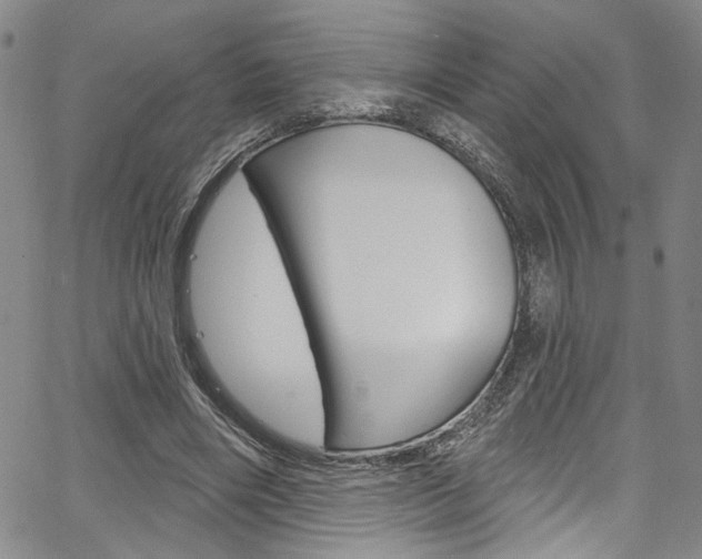 X0000067530490200604071053