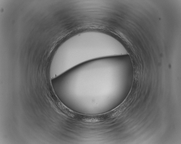 X0000067530500200604071053