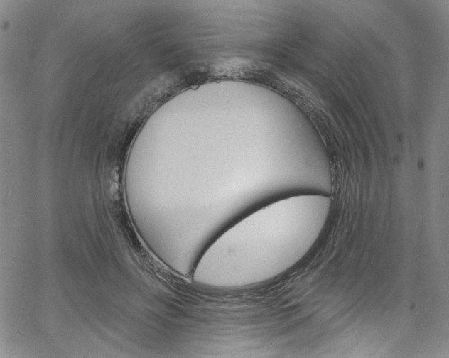 X0000067530502200604071053