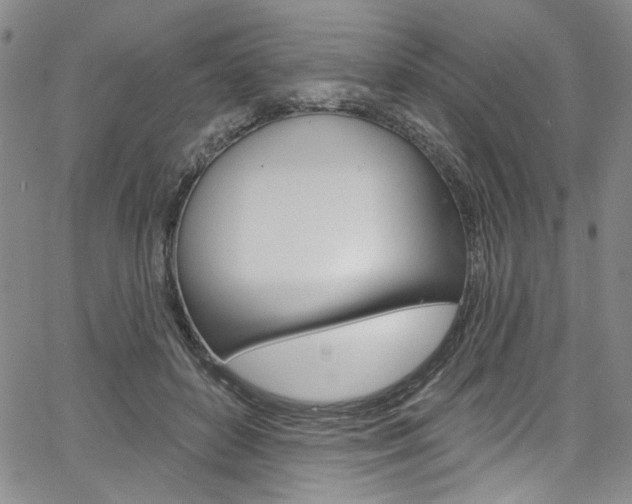 X0000067530504200604071053