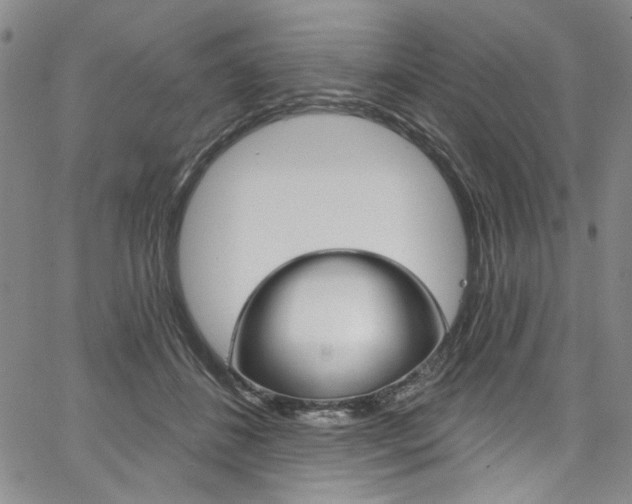 X0000067530508200604071052