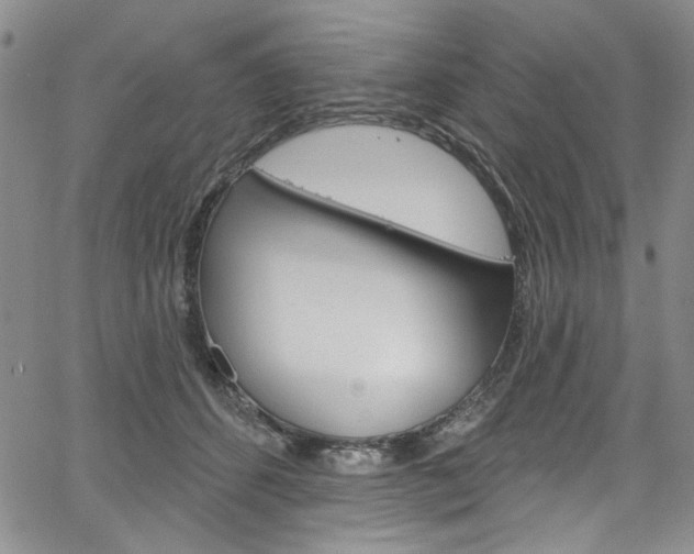 X0000067530512200604071052