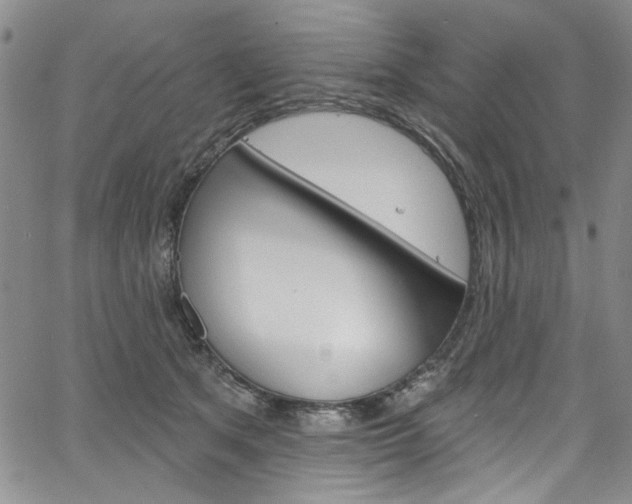 X0000067530513200604071052