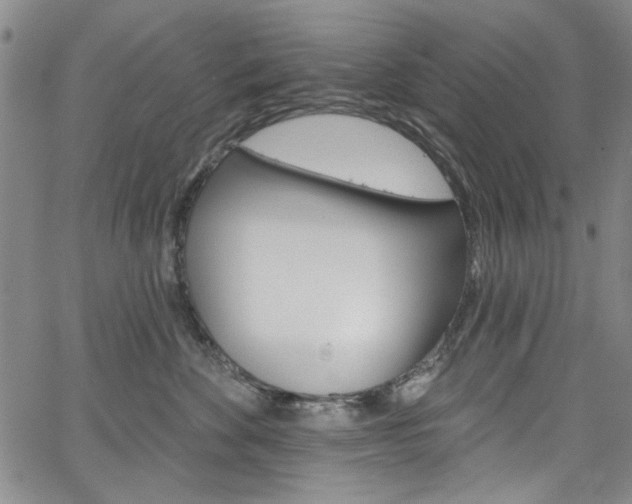 X0000067530524200604071052