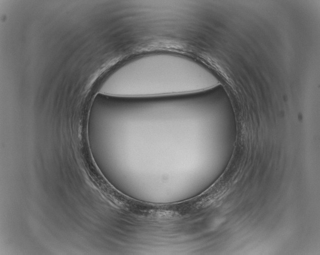 X0000067530539200604071051
