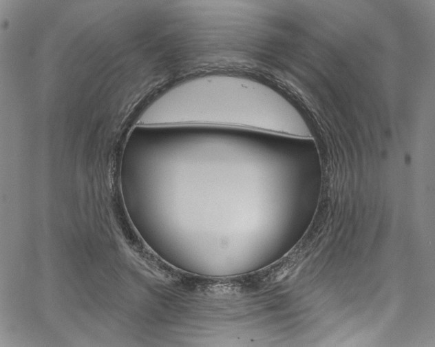 X0000067530546200604071052