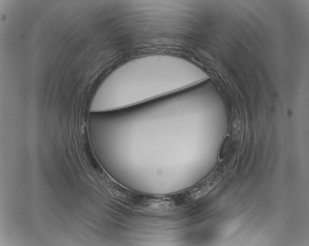 X0000067530555200604071052