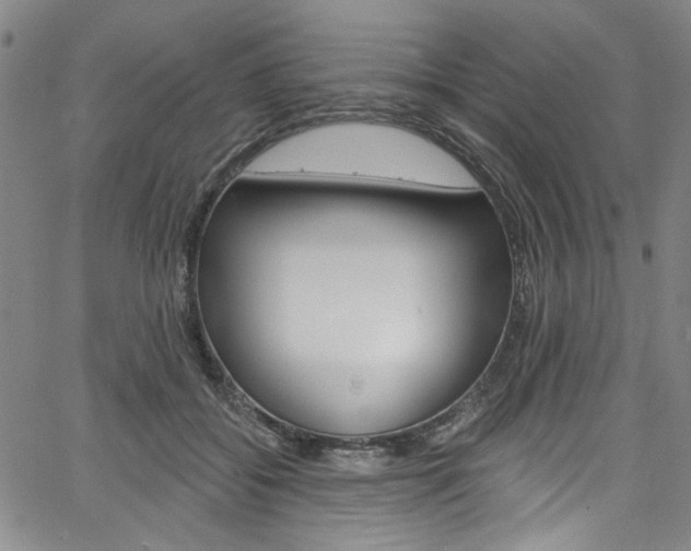 X0000067530556200604071052