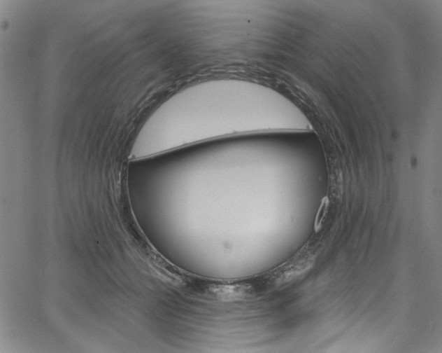 X0000067530558200604071052
