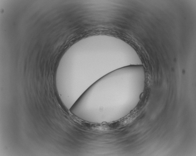 X0000067530561200604071052