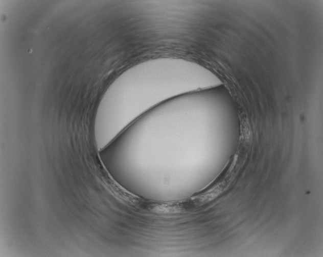 X0000067530568200604071052