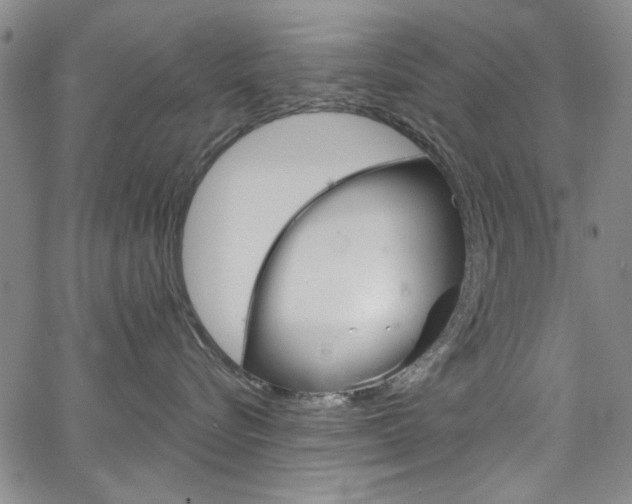 X0000067530576200604071052