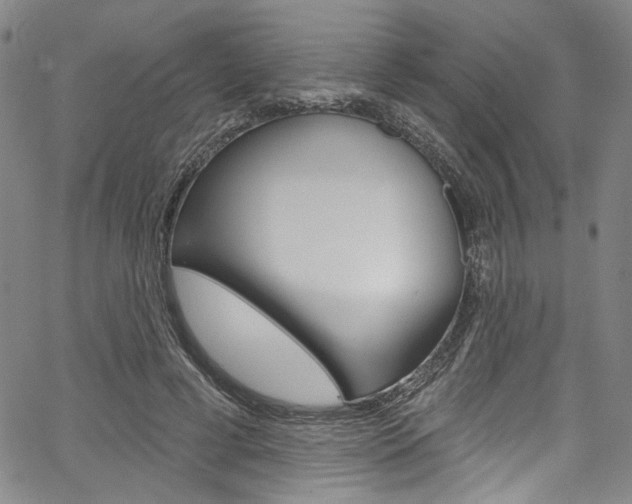 X0000067530593200604071051