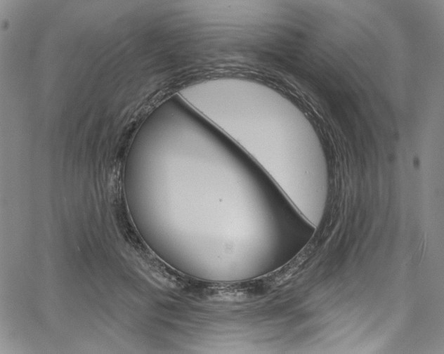 X0000067530601200604071051