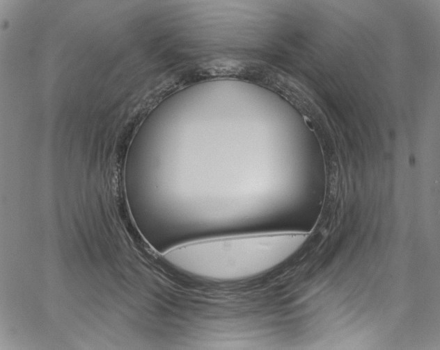 X0000067530604200604071051