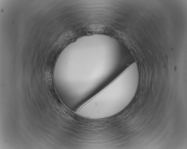 X0000067530609200604071051
