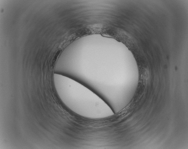 X0000067530610200604071051