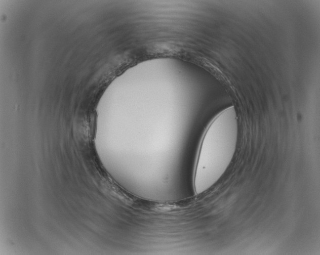 X0000067530617200604071051