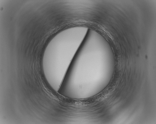 X0000067530641200604071050