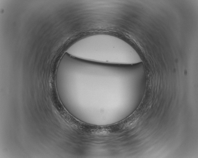 X0000067530643200604071050