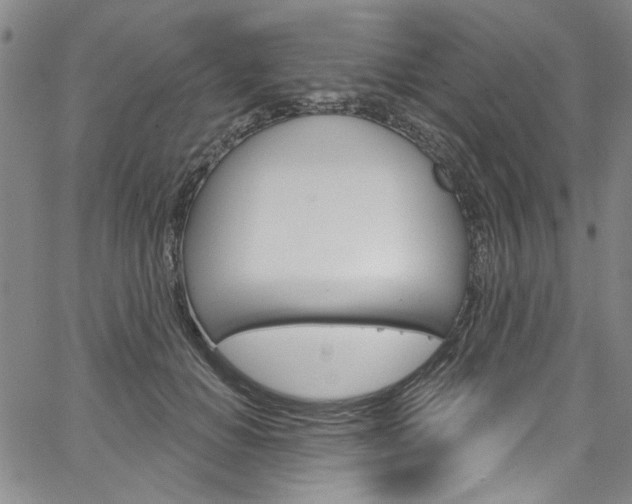 X0000067530654200604071050